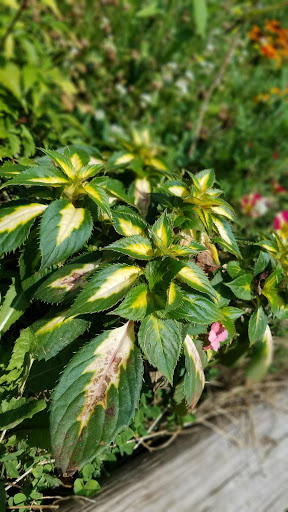 Park «Coloma Township Park District», reviews and photos, 510 E 11th St, Rock Falls, IL 61071, USA