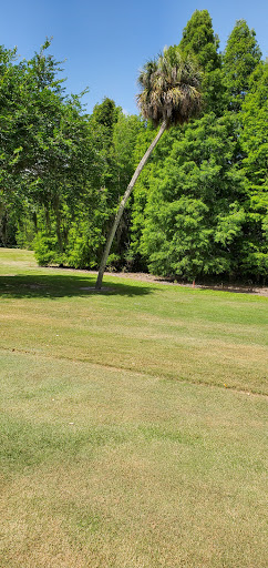 Golf Club «Lone Palm Golf Club LLC», reviews and photos, 800 Lone Palm Dr, Lakeland, FL 33815, USA