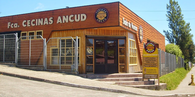 Cecinas Ancud Ltda. - Ancud