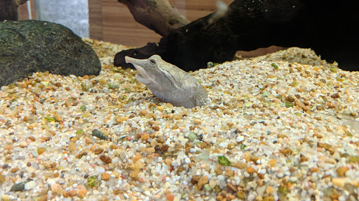 Science Museum «Discovery World», reviews and photos, 500 N Harbor Dr, Milwaukee, WI 53202, USA