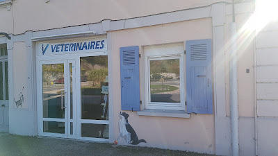 Clinique Vétérinaire du Repère à Saint-Genix-les-Villages