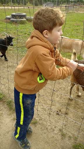 Christmas Tree Farm «Piney Acres», reviews and photos, 1115 E 1000 N, Fortville, IN 46040, USA