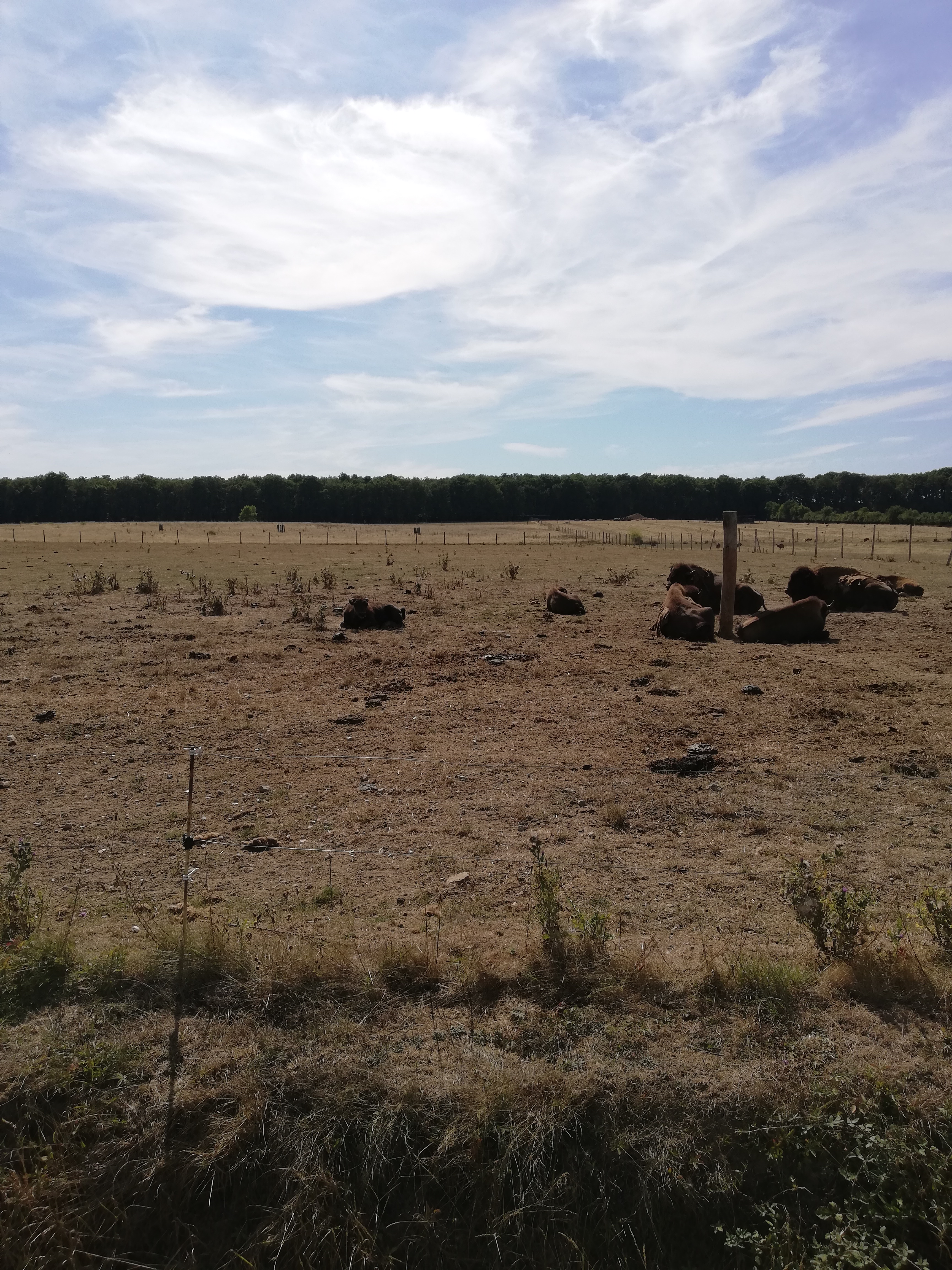 Photo n° 48 de l'avis de Severine.e fait le 23/08/2019 à 23:18