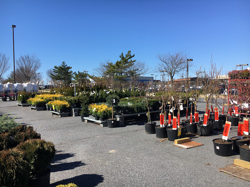 Home Improvement Store «The Home Depot», reviews and photos, 2300 Broadbirch Dr, Silver Spring, MD 20904, USA