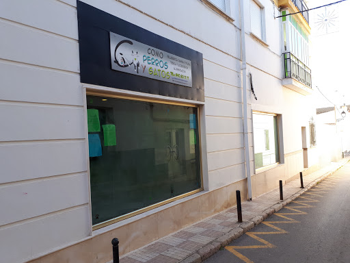 Como perros y gatos campillos en Campillos, Málaga