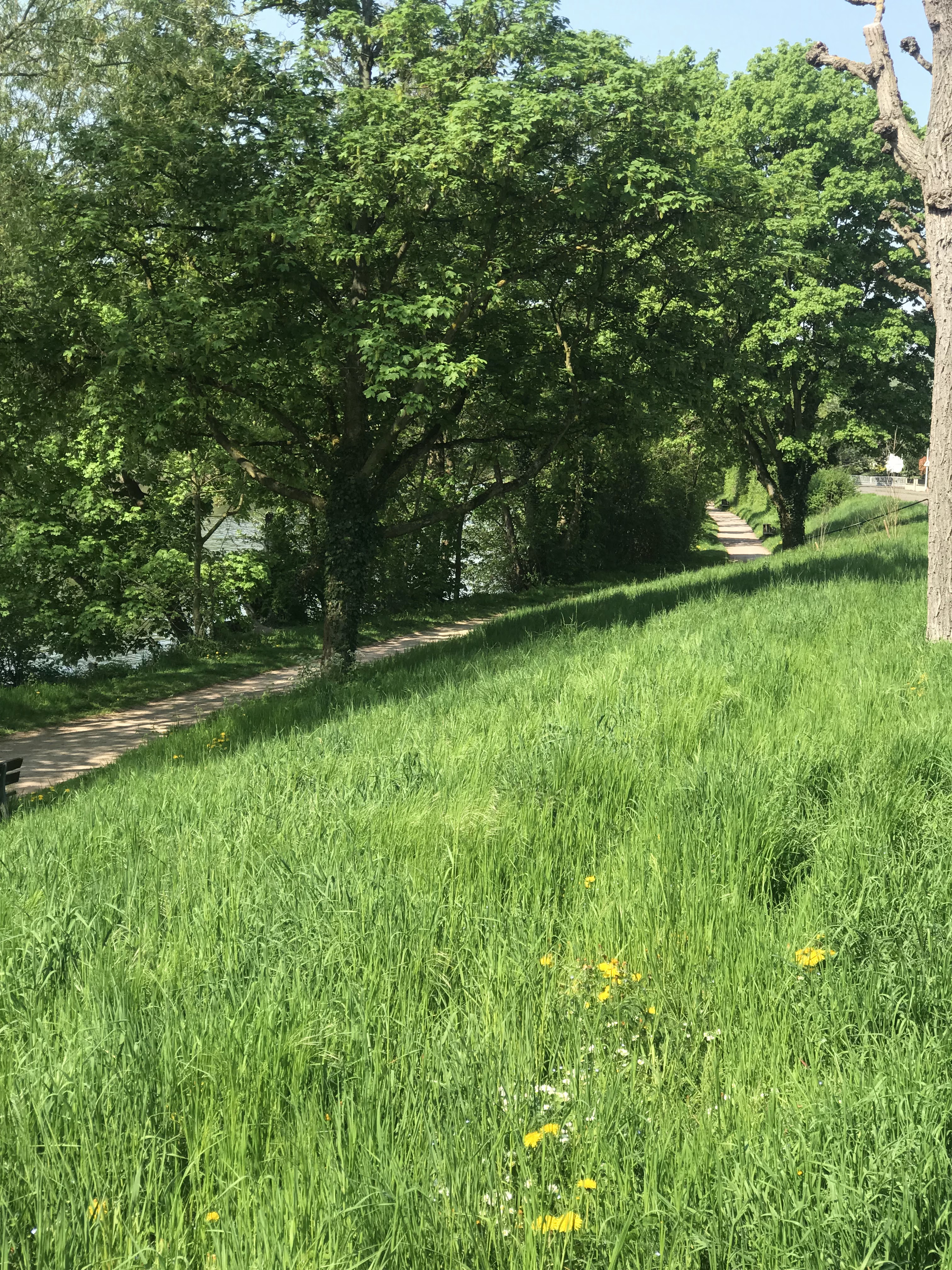 Photo n° 7 de l'avis de aykut.� fait le 24/04/2018 à 16:23