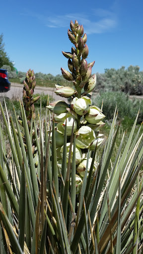 Nature Preserve «Bluff Lake Nature Center», reviews and photos, 3400 Havana Way, Denver, CO 80238, USA