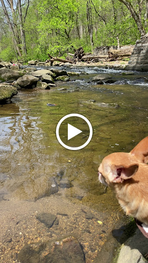 Nature Preserve «White Clay Creek State Park Nature Center», reviews and photos, 1475 Creek Rd, Newark, DE 19711, USA