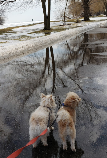 Park «Lake Front Park», reviews and photos, 23000 Jefferson Ave, St Clair Shores, MI 48080, USA
