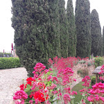 Photo n°1 de l'avis de Maila.o fait le 06/05/2018 à 17:07 sur le  Hapimag Resort Tonda à Montaione