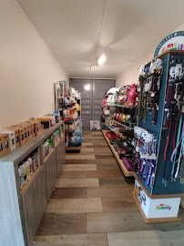 Elegant Grooming and Care Shop - Photo 9 - Car repair in Moca, Puerto Rico, Aguadilla