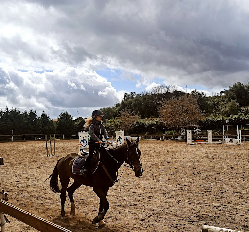 CIRCOLO IPPICO IL CILIEGIO - scuola di equitazione, Pony games, organizzazione compleanni a tema
