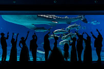 Miah Luke Co. - Photo 2 - Car repair in , Atlanta