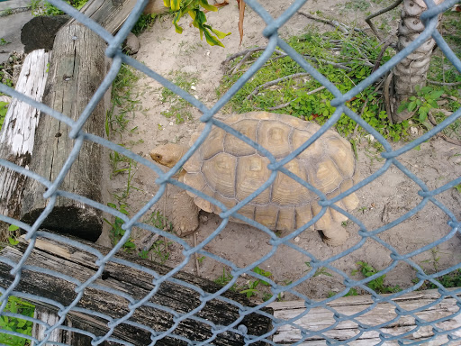 Tourist Attraction «IMAG History & Science Center (formerly Imaginarium Science Center)», reviews and photos, 2000 Cranford Ave, Fort Myers, FL 33916, USA