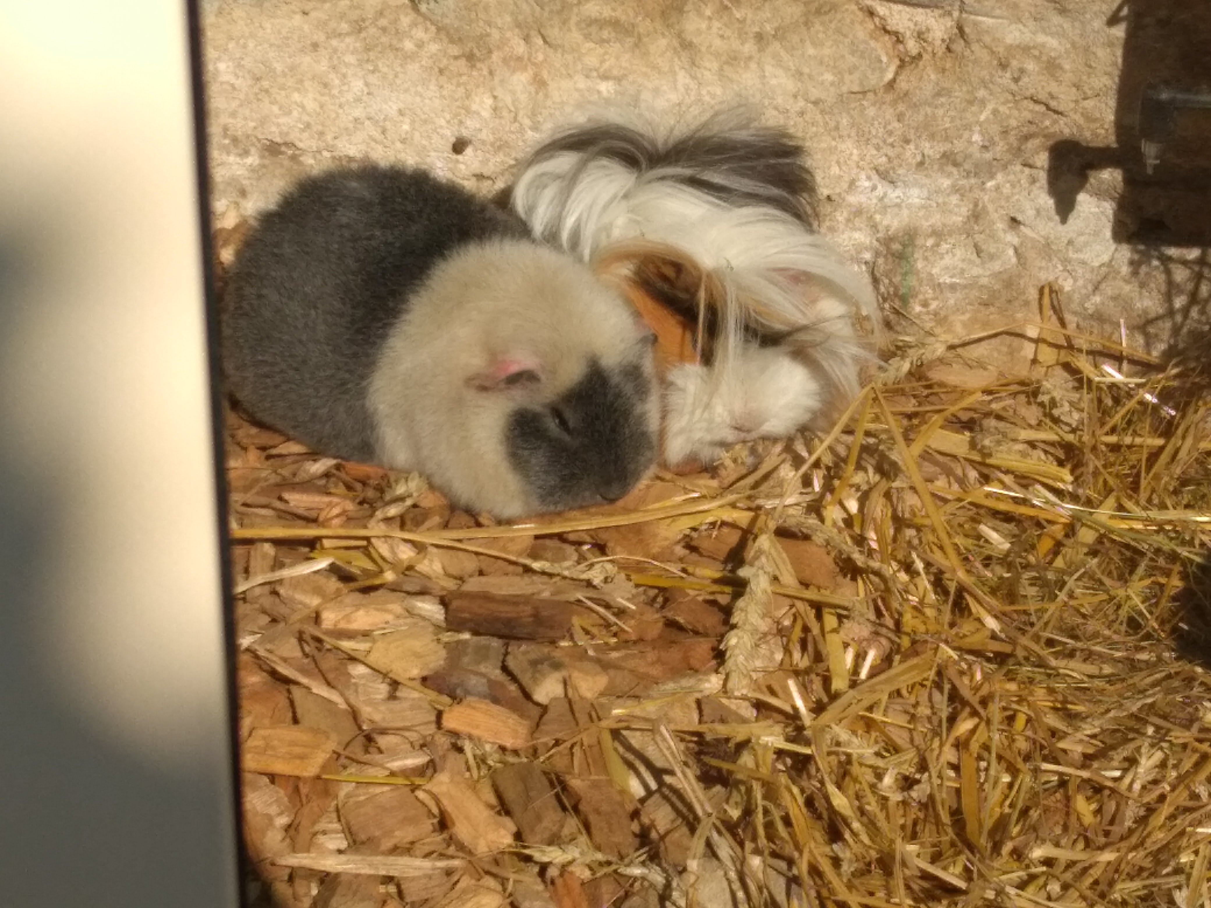 Photo n° 2 de l'avis de Keziah.r fait le 28/02/2018 à 19:18