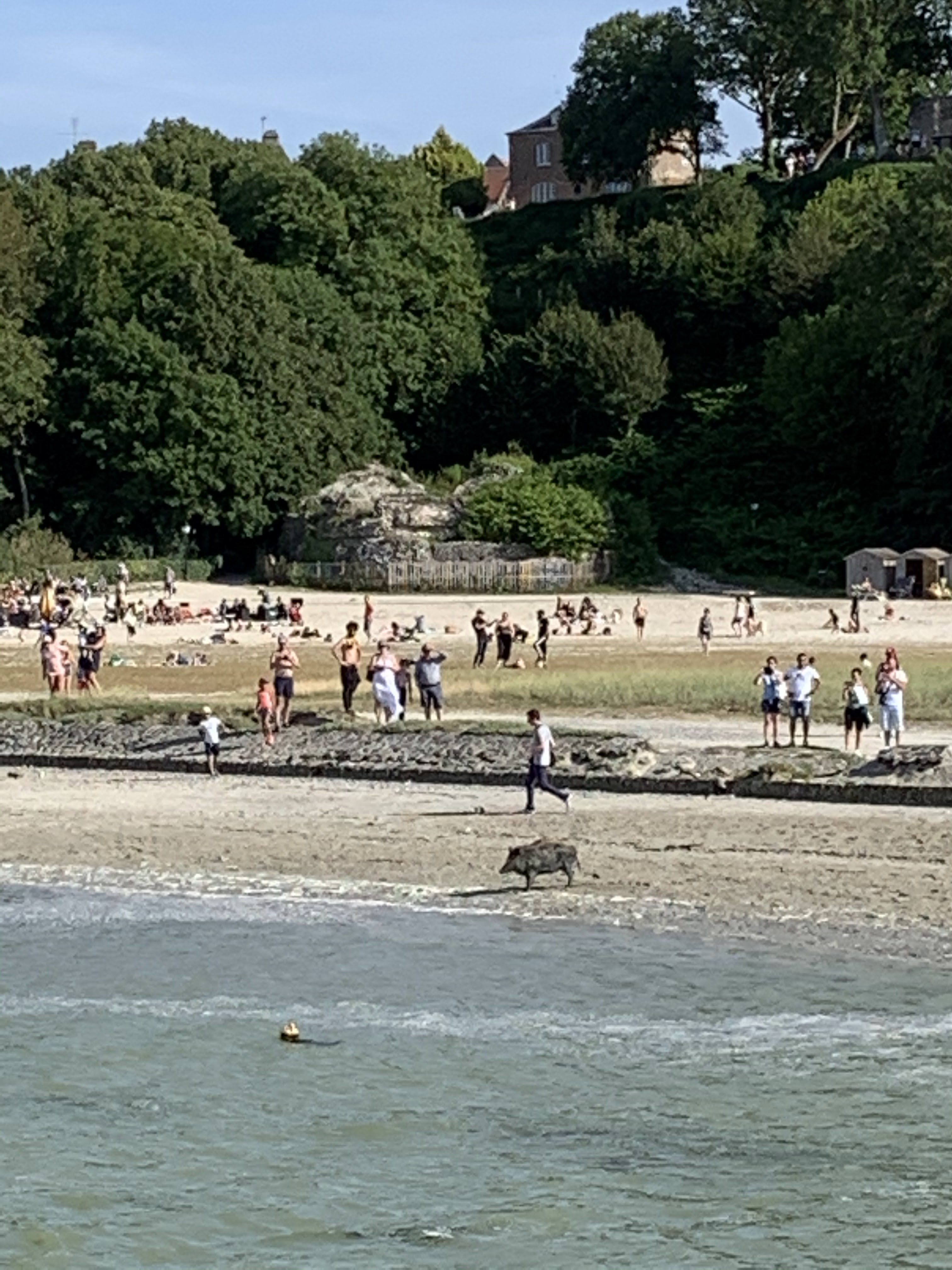 Photo n° 19 de l'avis de Gontran.e fait le 26/08/2020 à 16:22