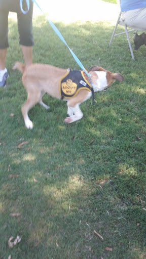 Pet Supply Store «PetSmart», reviews and photos, 2510 Berryhill Rd, Montgomery, AL 36117, USA