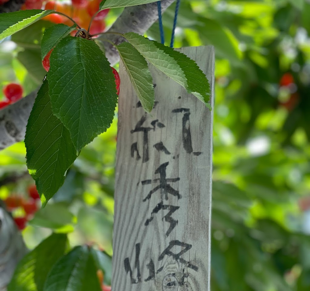 合同会社 田屋果樹園