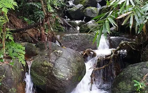 Sinharaja Rain forest, Waddagala, Kalawana image