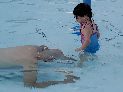 Public Swimming Pool «Union City Swimming Pool», reviews and photos