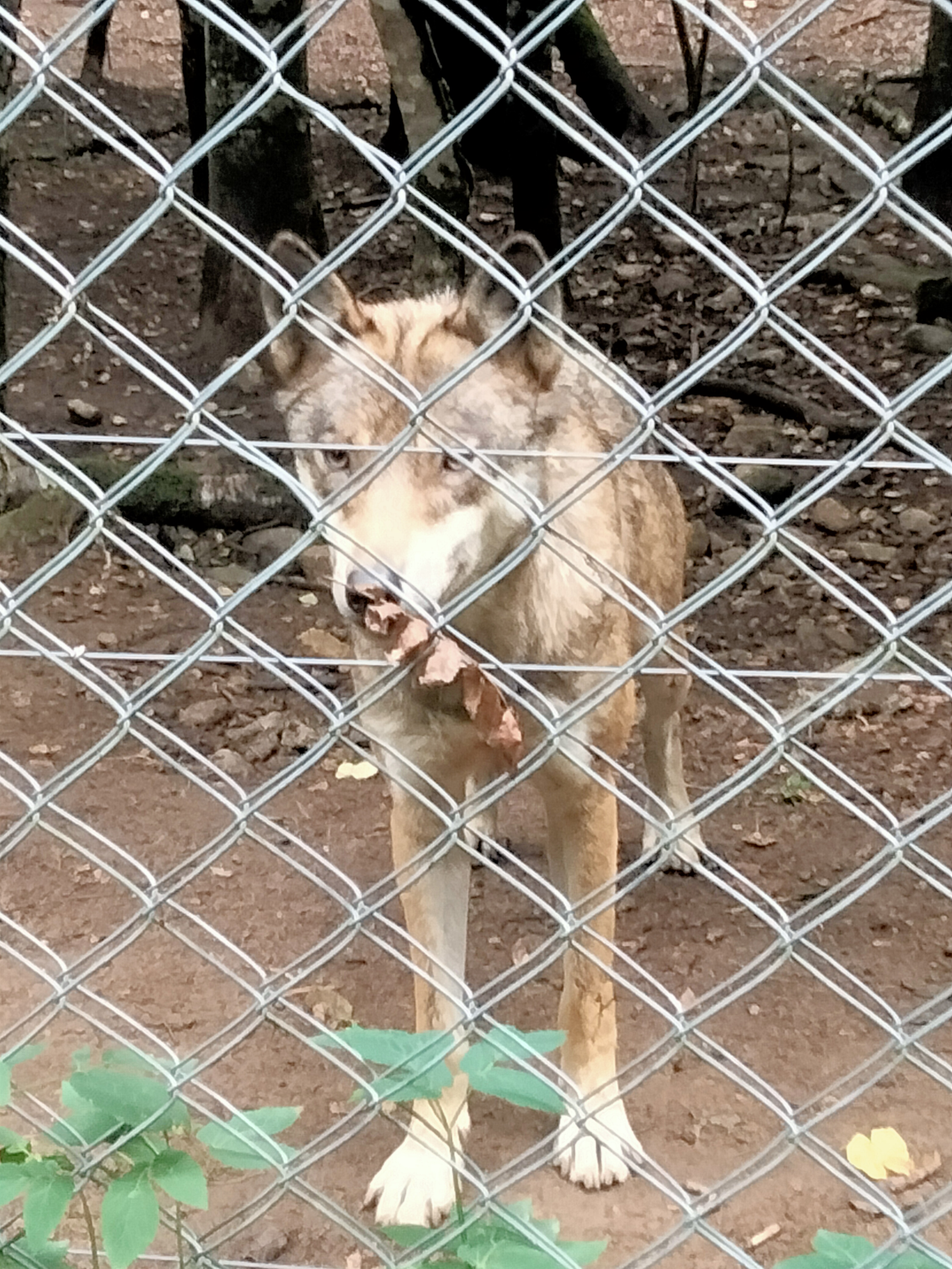 Photo n° 3 de l'avis de Chloé.a fait le 18/08/2022 à 16:02