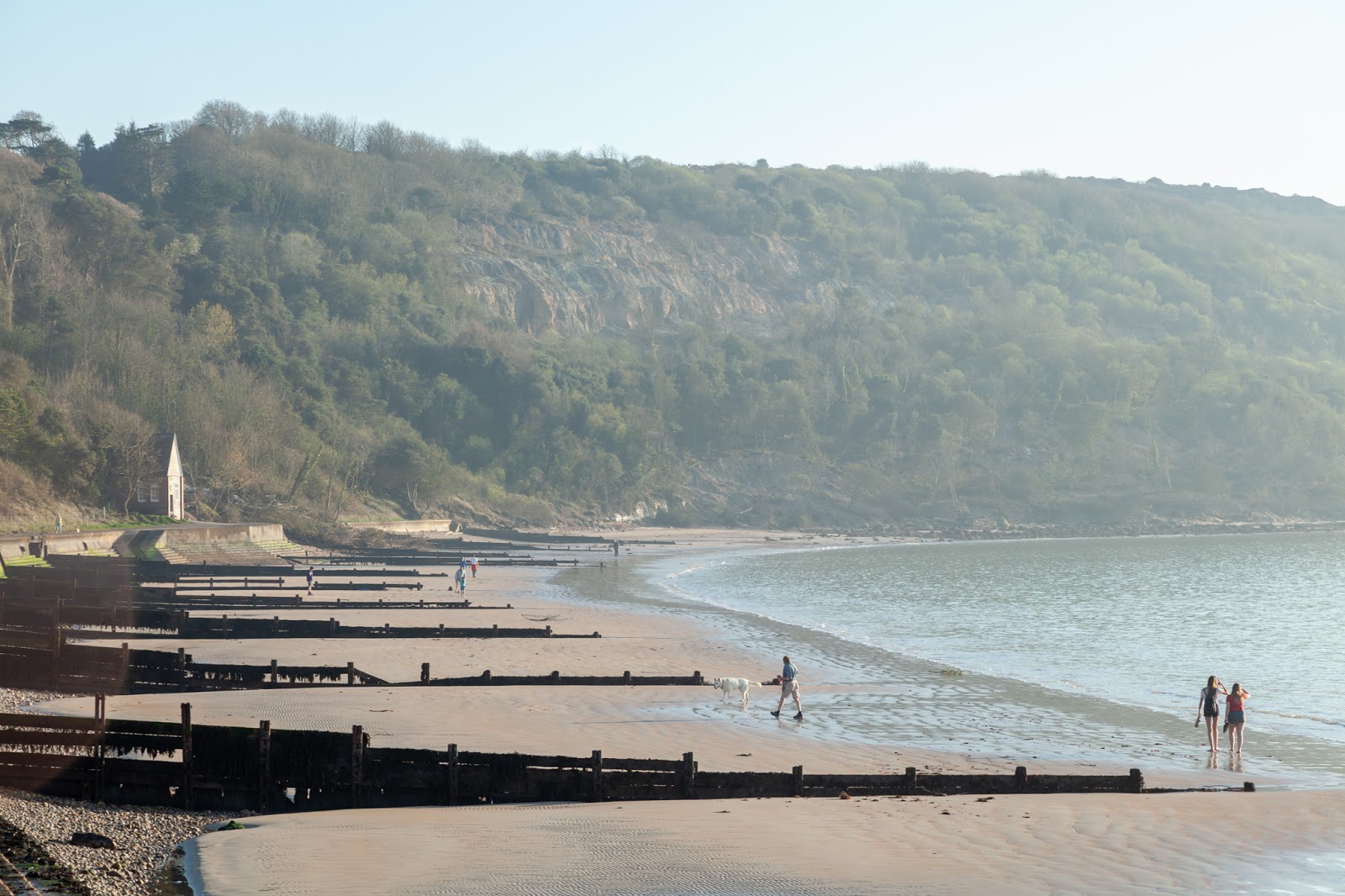 Photo of Totland Beach with long straight shore
