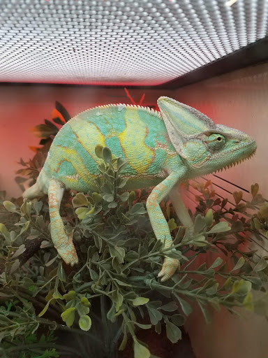 Pet Supply Store «Pet Supplies Plus», reviews and photos, 375 Paterson Ave #105, Wallington, NJ 07057, USA