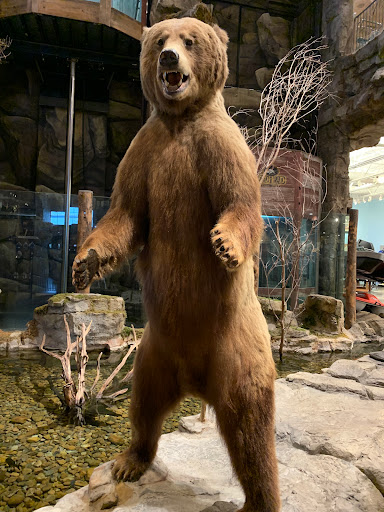 Sporting Goods Store «Bass Pro Shops», reviews and photos, 1000 Basspro Dr, Houston, TX 77047, USA