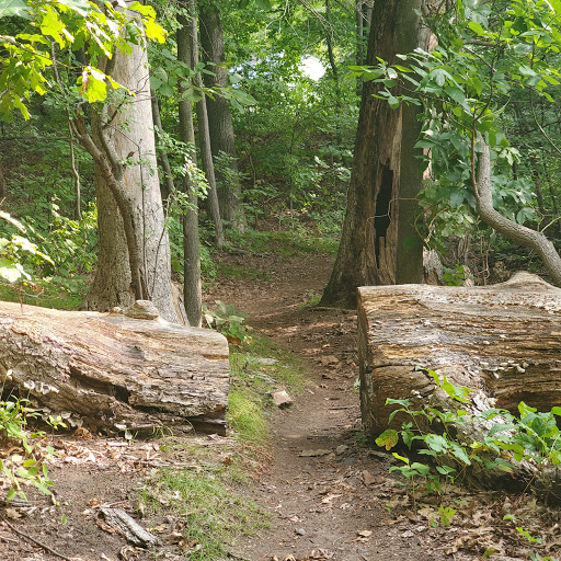 State Park «Cochituate State Park», reviews and photos, 43 Commonwealth Rd, Natick, MA 01760, USA