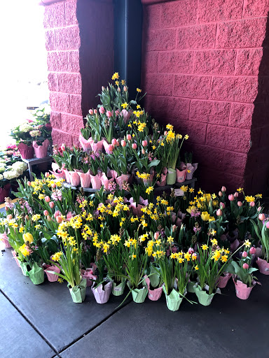 Grocery Store «Whole Foods Market», reviews and photos, 923 Houston Northcutt Blvd, Mt Pleasant, SC 29464, USA