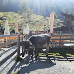 Photo n°1 de l'avis de Patrick.e fait le 17/09/2021 à 16:56 sur le  Ulfas Alm à Ulfas