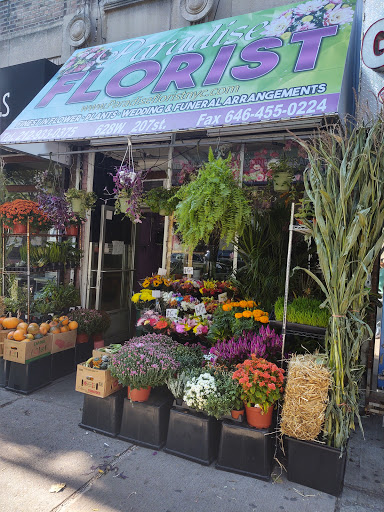 Florist «Paradise Florist Corp.», reviews and photos, 634 W 207th St, New York, NY 10034, USA