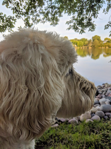 Park «Prairie Park», reviews and photos, 431 Knollwood Dr, Barrington, IL 60010, USA