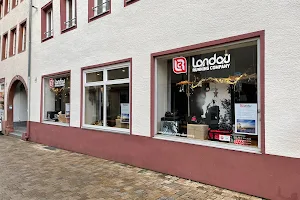 Landau Running Company image