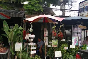Chatuchak Flower Market image