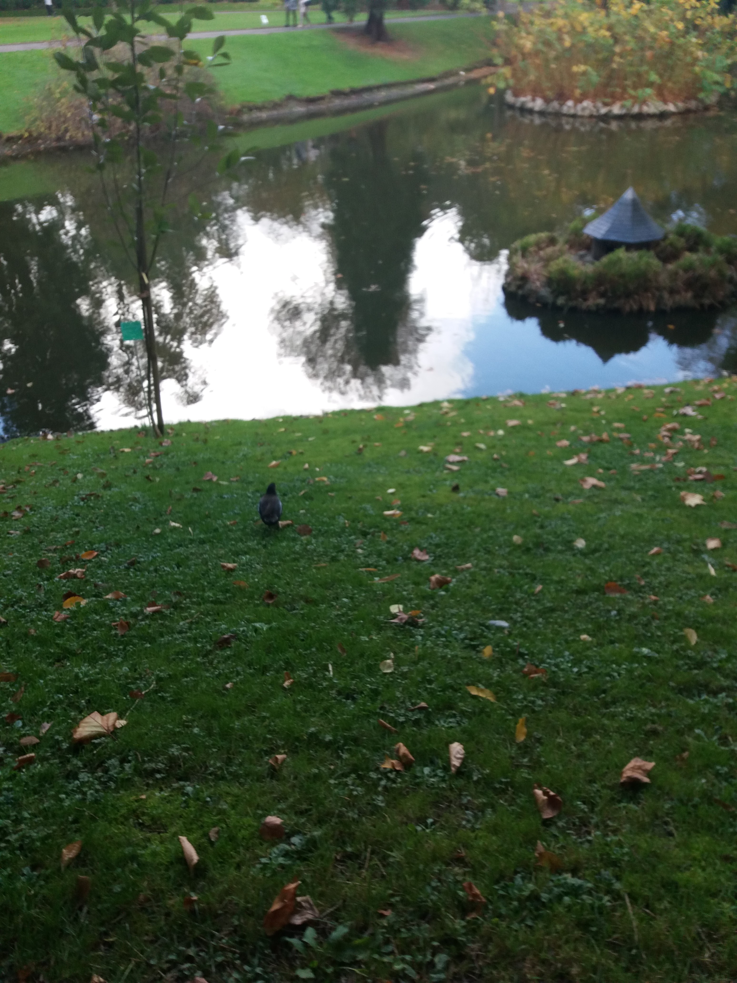 Photo n° 3 de l'avis de Margoot. fait le 06/01/2018 à 14:23