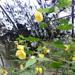 Photo n° 2 de l'avis de ml. fait le 03/11/2021 à 13:09 pour la Clairière aux Insectes à Montbrun-Bocage