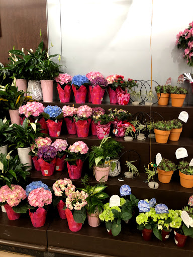 Pharmacy «Fresh Market», reviews and photos, 5691 Harrison Blvd, Ogden, UT 84403, USA