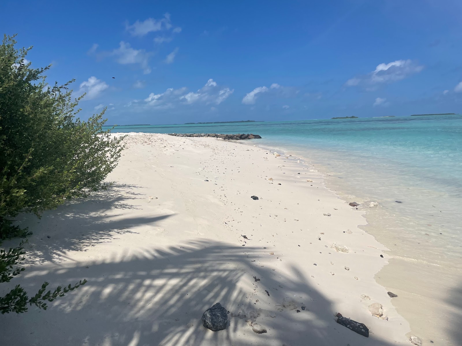 Hakuraa Resort Beach photo #7