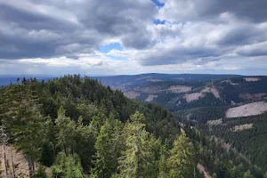 Hohe Möst hinteres Plateau image