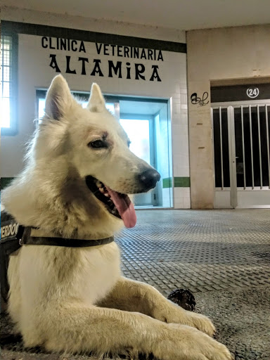 Clínica Veterinaria Altamira en Arrasate