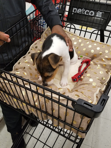 Pet Supply Store «Petco Animal Supplies», reviews and photos, 200 Center Blvd S, Christiana, DE 19702, USA