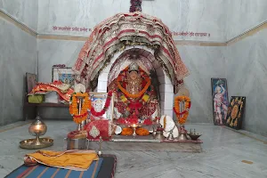 Van Devi Temple image