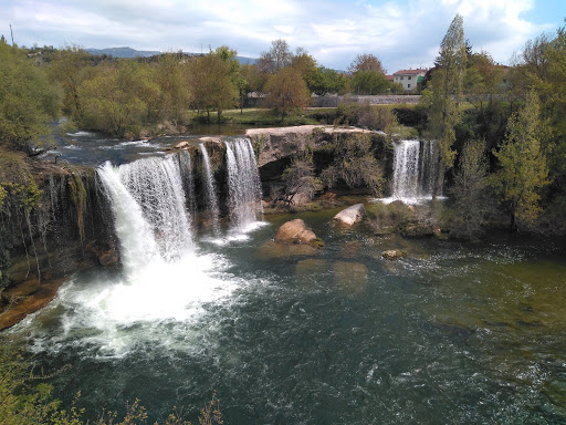 Tejedor en La Orden, Burgos