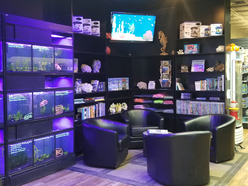 Tropical Fish Store «Life Aquatic», reviews and photos, 9 South Ave, New Canaan, CT 06840, USA