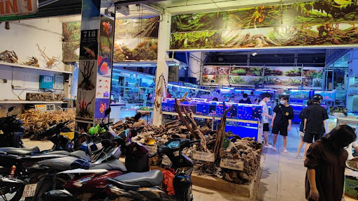 Top 2 cửa hàng cá kiểng Huyện A Lưới Thừa Thiên Huế 2022