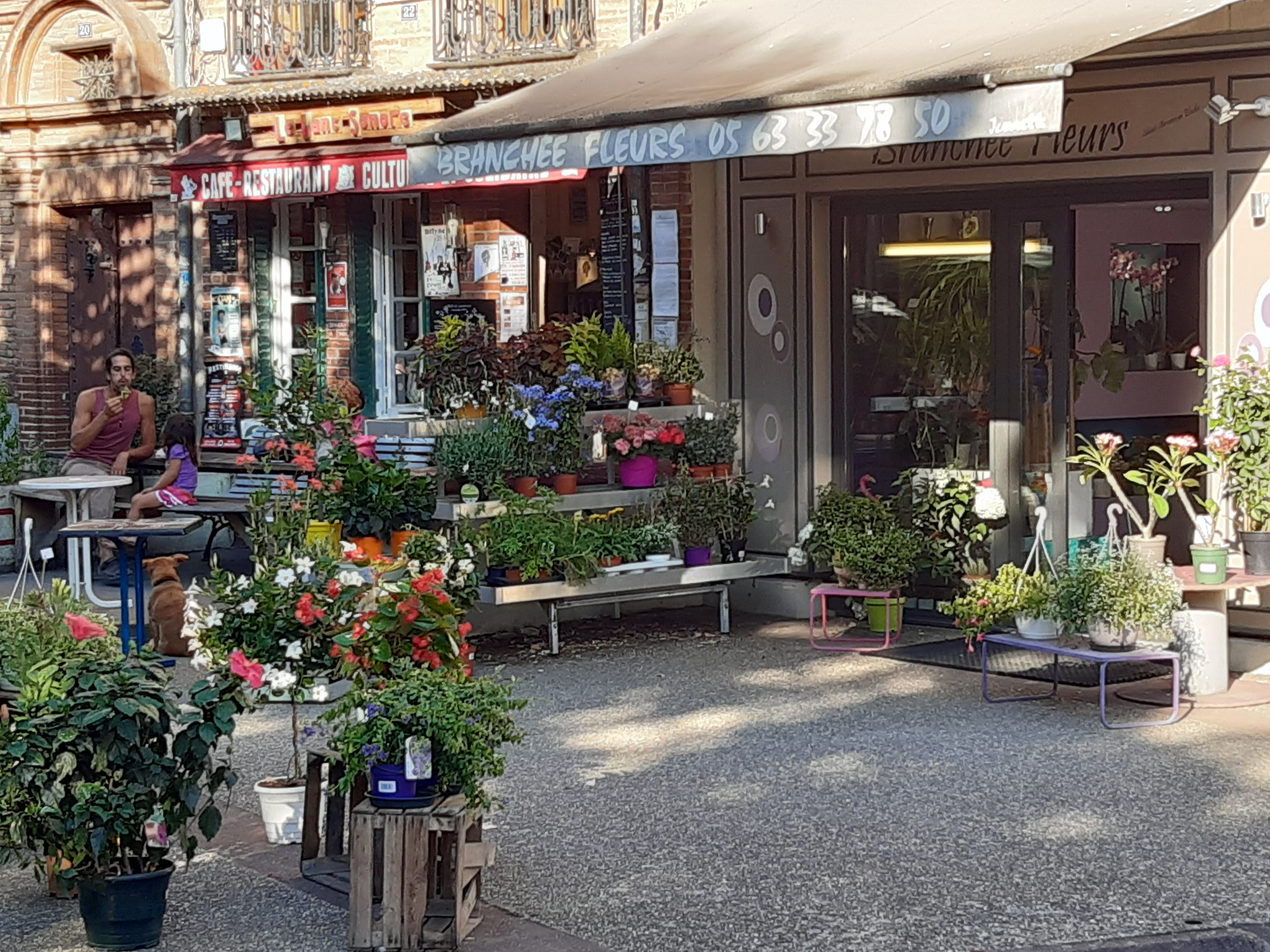 Photo n° 1 de l'avis de Claude. fait le 14/03/2020 à 21:15