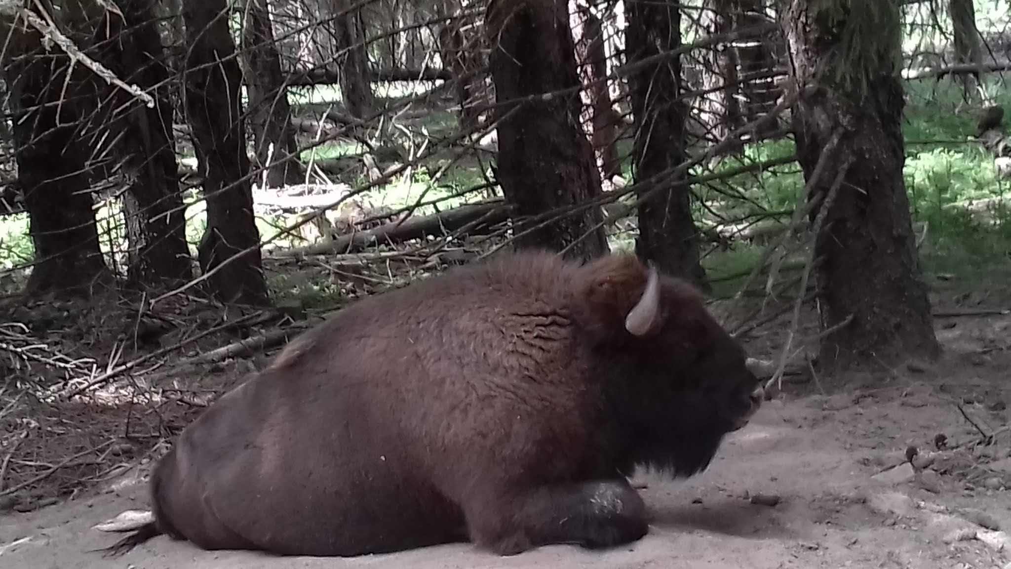 Photo n° 6 de l'avis de Jean.i fait le 19/09/2019 à 05:03