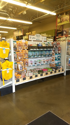 Pet Supply Store «Pet Food Express», reviews and photos, 5829 Lone Tree Way, Antioch, CA 94531, USA
