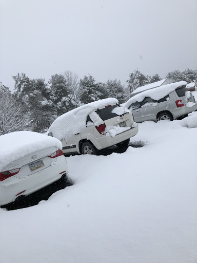 Pet Store «Yuppy Puppy Pet Shop», reviews and photos, 292 Frantz Rd, Stroudsburg, PA 18360, USA